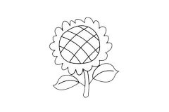 向日葵简笔画步骤教程及图片大全