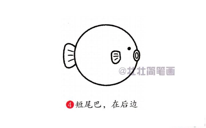 河豚简笔画画法_怎么画河豚的简笔画