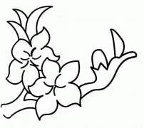 粉色桃花简笔画画法_怎么画粉色桃花