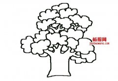 大树的儿童简笔画
