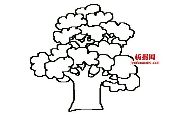 大树的儿童简笔画