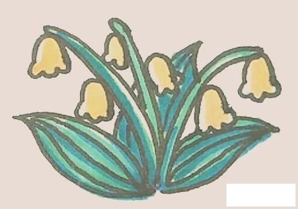 铃兰花简笔画图片