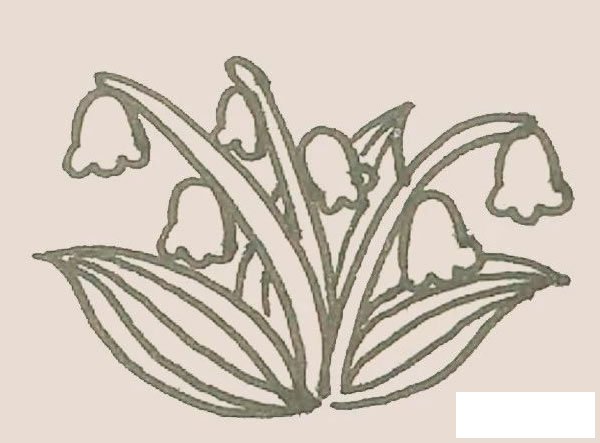 铃兰花简笔画图片