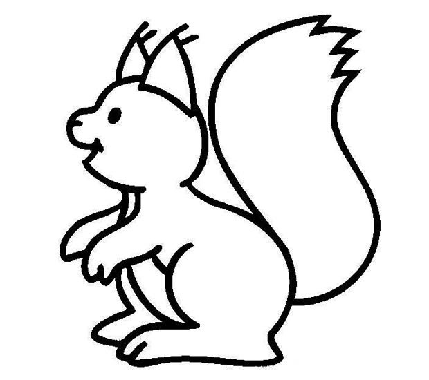幼儿简笔画:一只可爱的大松鼠