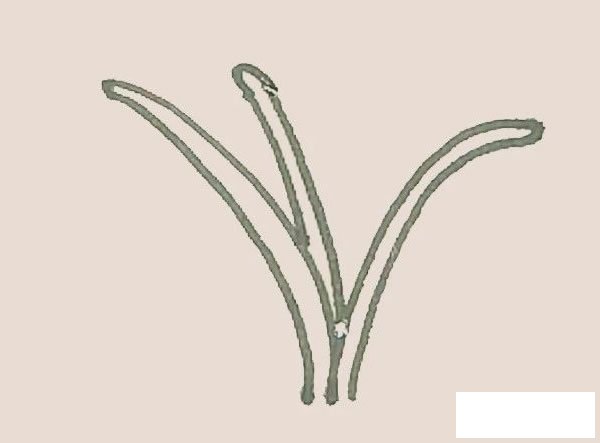 铃兰花简笔画图片