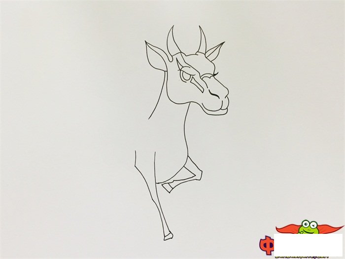 奔跑的羚羊简笔画