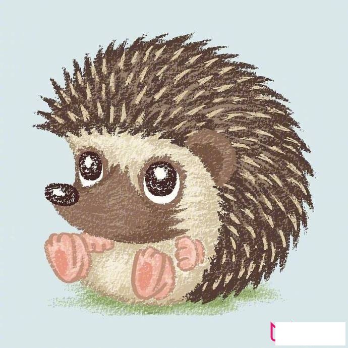 卡通动物简笔画，可爱的小刺猬