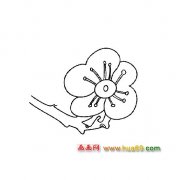 一朵梅花简笔画