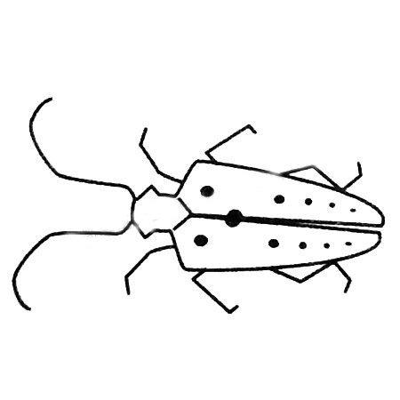 天牛简笔画图片
