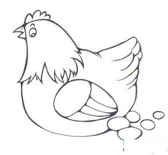 关于老母鸡下蛋简笔画图片