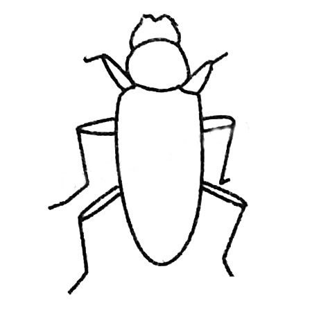天牛简笔画图片