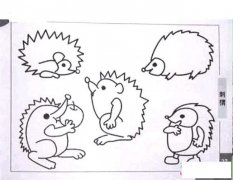 各种刺猬简笔画图片大全
