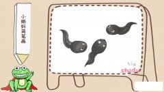 小蝌蚪简笔画