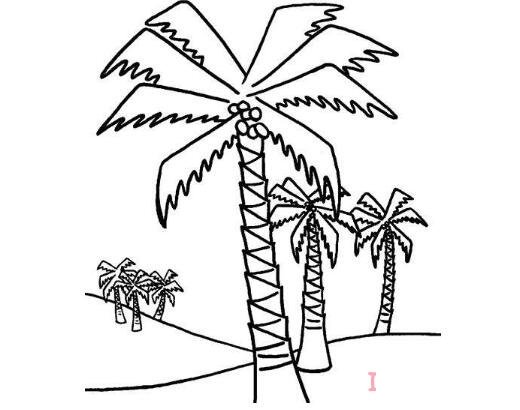 海边沙滩椰子树怎么画简单漂亮