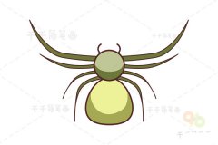 三突花蛛简笔画