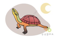 三线闭壳龟简笔画教程