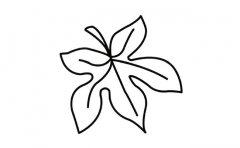 一片枫叶简笔画图片