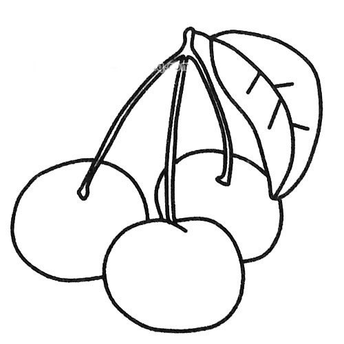 漂亮的樱桃简笔画图片4