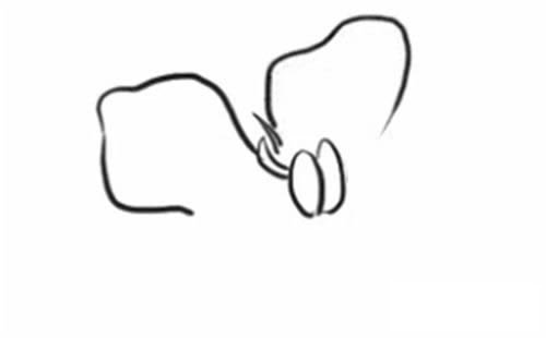 栀子花简笔画步骤教程