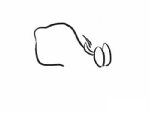 栀子花简笔画步骤教程