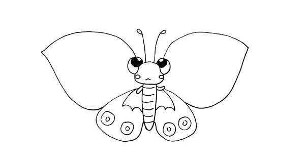 蝴蝶简笔画画法步骤图