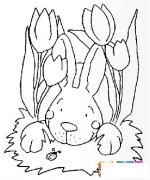 兔子和花简笔画