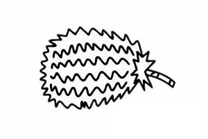 榴莲简笔画图片