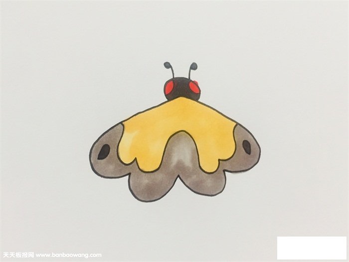 飞蛾怎么画