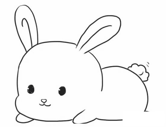可爱的小兔子简笔画图片