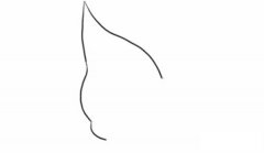 燕子风筝和蝴蝶风筝简笔画步骤图解教程