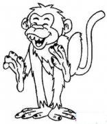 幼儿猴子简笔画：哈哈大笑的猴子