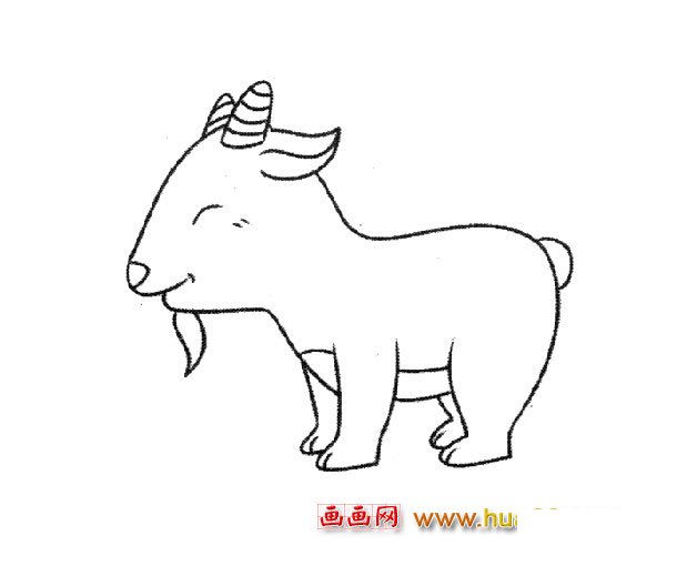 小羊羔_动物简笔画