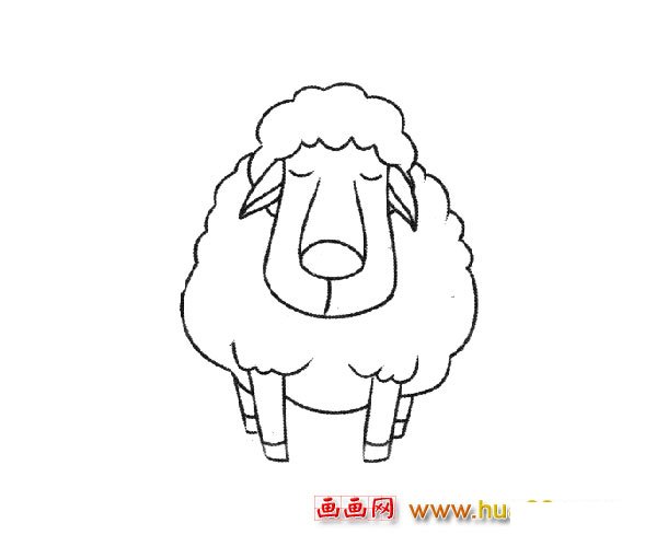 温顺的小绵羊（简笔画）