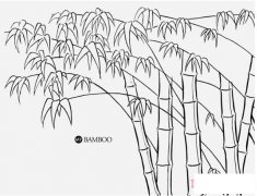 春天竹子简笔画的画法手绘简单好看