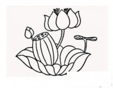 夏天池塘之美景简笔画画法_怎么画夏天池塘之美