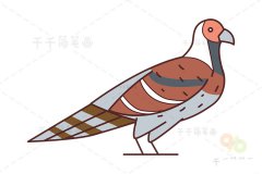 白颈长尾雉简笔画