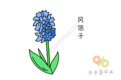 风信子简笔画图片大全集 简单好画