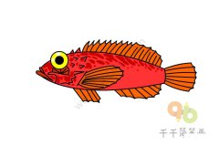 简单的鲉鱼简笔画图片