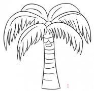一步一步绘画椰子树的画法带步骤图简笔画教程