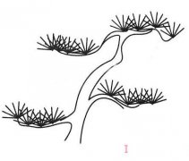 怎么画一棵松树简笔画的画法简单好看