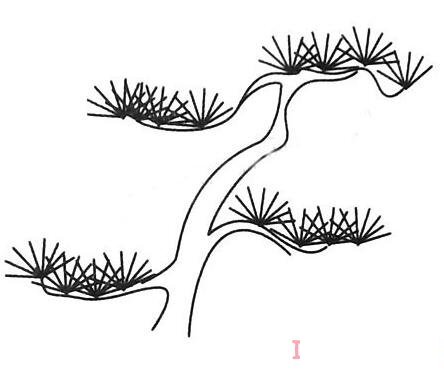 幼儿简笔画卡通松树的画法简单易学