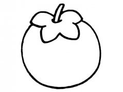 柿子水果简笔画步骤图片大全二