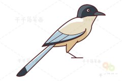 灰喜鹊简笔画