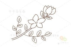 茉莉花简笔画