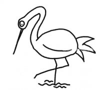 漂亮的丹顶鹤简笔画图片大全