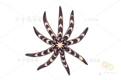 斑砂海星简笔画