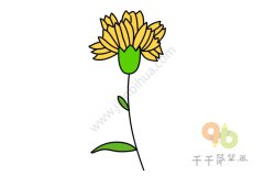 轻松学 康乃馨简笔画