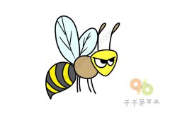 教你怎么画寄生蜂