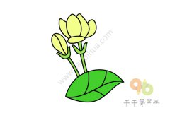 茉莉花简笔画图片大全
