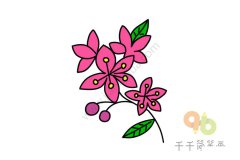 轻松学 海棠花简笔画